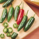 Chilli paprička Serano 10 semen