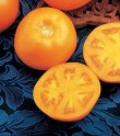 Rajče Tangerine F1 10 SEMEN