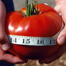 bannerImage1