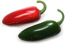 bannerImage2