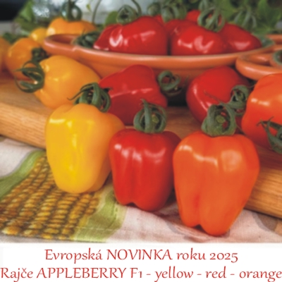 bannerImage1