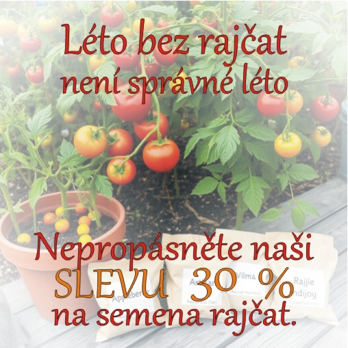 bannerImage1