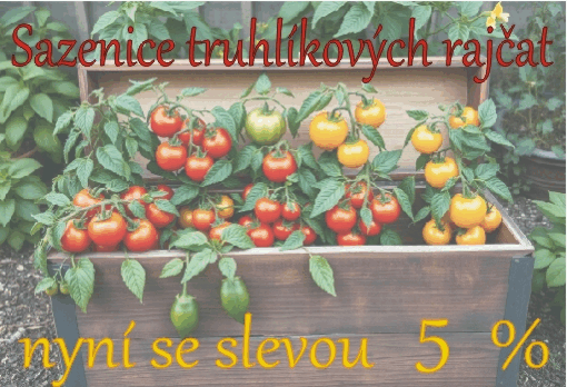 bannerImage1