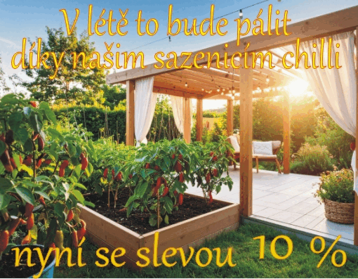 bannerImage1