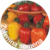 bannerImage1