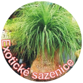 bannerImage1