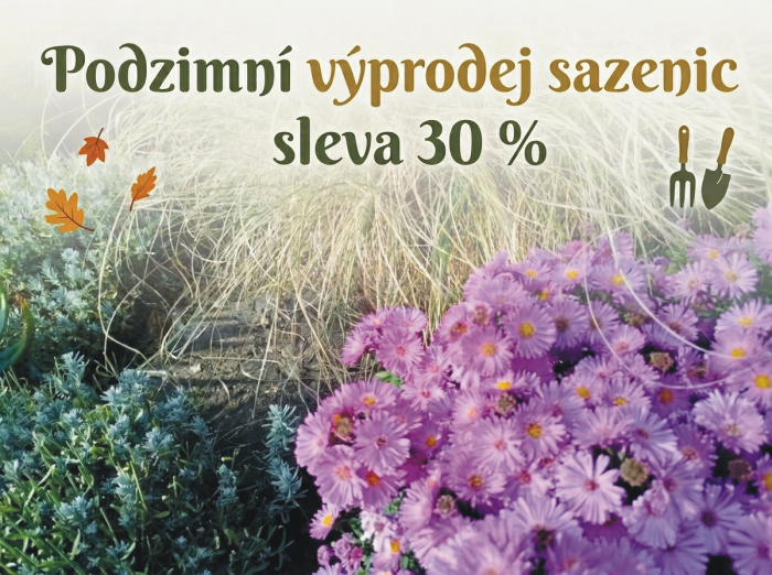 bannerImage1