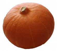 Tykev Hokkaido orange