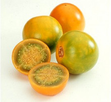Solanum quitoense - Narančila