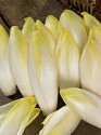 Čekanka salátová Di Bruxelles Balení obsahuje 50 semen