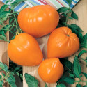 Rajče Orange Strawberry  Balení obsahuje 10 semen