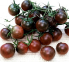 Rajče Black Cherry  Balení obsahuje 10 semen