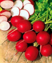 Ředkvička Cherry Belle Balení obsahuje 400 semen