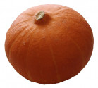 Tykev Hokkaido orange Balení obsahuje 7 semen
