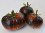 Rajče Dark Galaxy Balení obsahuje 10 semen