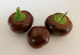 Chilli Cherry Chocolate Balení obsahuje 10 semen