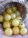 Rajče White Cherry  Balení obsahuje 10 semen