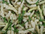 Sazenice chilli Aribibi Gusano Balení obsahuje 1 sazenici