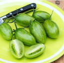Sazenice Rajče Artisan Green tiger Balení obsahuje 1 sazenici