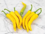 Sazenice Chilli Golden Cayenne Pepper Balení obsahuje 1 sazenici