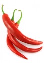 Chilli Cayenne pepper - Kajenský pepř  Balení obsahuje 10 semen