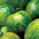Rajče Green Zebra  Balení obsahuje 10 semen
